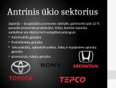 Japonija: geografija, ekonomika bei transportas 8 puslapis