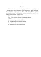 Mokslo ir profesinės kalbos ypatumai 3 puslapis