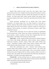 Mokslo ir profesinės kalbos ypatumai 4 puslapis