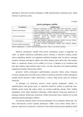 VĮ „Klaipėdos valstybinio jūrų uosto direkcija“ finansinės būklės vertinimas santykinių rodiklių pagrindu 13 puslapis