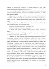 VĮ „Klaipėdos valstybinio jūrų uosto direkcija“ finansinės būklės vertinimas santykinių rodiklių pagrindu 14 puslapis