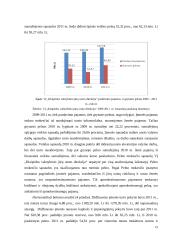 VĮ „Klaipėdos valstybinio jūrų uosto direkcija“ finansinės būklės vertinimas santykinių rodiklių pagrindu 19 puslapis