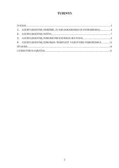 Audito įrodymai – pagrindas auditoriaus nuomonei pagrįsti 2 puslapis