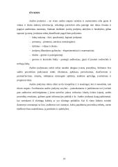 Audito įrodymai – pagrindas auditoriaus nuomonei pagrįsti 14 puslapis