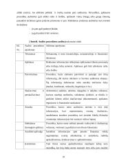 Audito įrodymai – pagrindas auditoriaus nuomonei pagrįsti 10 puslapis