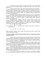 Automobilio kronšteinas 2 puslapis