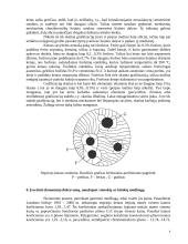 Automobilio kronšteinas 3 puslapis