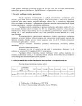 Automobilio kronšteinas 4 puslapis