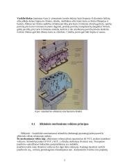 Automobilių įranga: Volkswagen Passat 1.9 TDI 5 puslapis