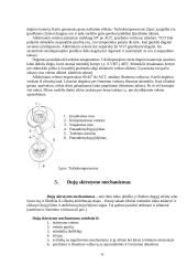 Automobilių įranga: Volkswagen Passat 1.9 TDI 6 puslapis