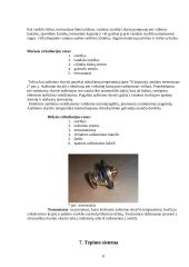 Automobilių įranga: Volkswagen Passat 1.9 TDI 8 puslapis