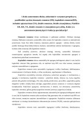 Automobilių remonto technologija 4 puslapis