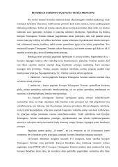 Bendrieji Europos Sąjungos teisės principai 3 puslapis