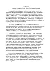 Kazimierio Būgos vaidmuo kuriant lietuvių kalbos žodyną