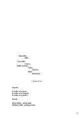 Barbarizmai ir semantizmai 13 puslapis