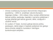 Kas yra Europos Sąjungos rinka? 2 puslapis