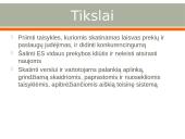 Kas yra Europos Sąjungos rinka? 3 puslapis