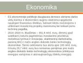 Kas yra Europos Sąjungos rinka? 4 puslapis