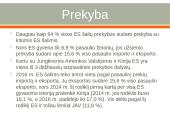 Kas yra Europos Sąjungos rinka? 5 puslapis