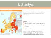 Kas yra Europos Sąjungos rinka? 6 puslapis