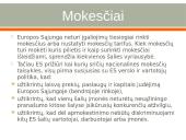 Kas yra Europos Sąjungos rinka? 7 puslapis