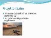 Deguonies reikšmė žmogui ir gamtai 2 puslapis