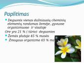 Deguonies reikšmė žmogui ir gamtai 3 puslapis