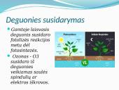 Deguonies reikšmė žmogui ir gamtai 6 puslapis