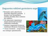 Deguonies reikšmė žmogui ir gamtai 7 puslapis