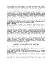 Baroko muzika, apranga 2 puslapis