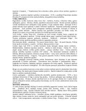 Baroko muzika, apranga 3 puslapis