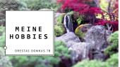 Präsentation über meine Hobbys 7 puslapis
