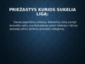 Virškinimo sistema ir jos ligos 11 puslapis