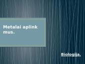 Metalai aplink mus - geležis 6 puslapis