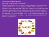 Metalai aplink mus - geležis 9 puslapis