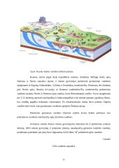 Bendroji aplinkos apsauga ir ekologija 11 puslapis