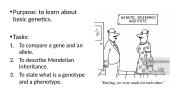 Basic genetics 2 puslapis