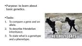 Basic genetics 19 puslapis