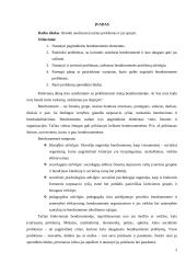 Bendruomenės tyrimas 2 puslapis