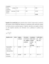Automobilių serviso verslo planas 13 puslapis
