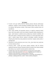 Automobilių serviso verslo planas 20 puslapis