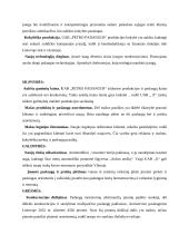 Automobilių serviso verslo planas 7 puslapis