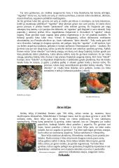 Bestuburiai 3 puslapis