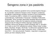 Europos Sąjungos rinkos analizė 12 puslapis