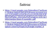 Europos Sąjungos rinkos analizė 13 puslapis