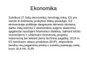 Europos Sąjungos rinkos analizė 4 puslapis