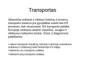 Europos Sąjungos rinkos analizė 8 puslapis