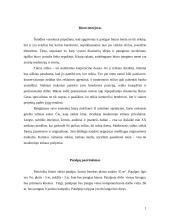 Biuro interjero eskizinis projektas 2 puslapis