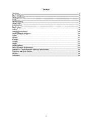 Biuro eskizinis ergonominis projektas 2 puslapis