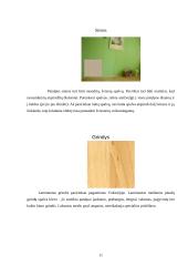 Biuro eskizinis ergonominis projektas 11 puslapis